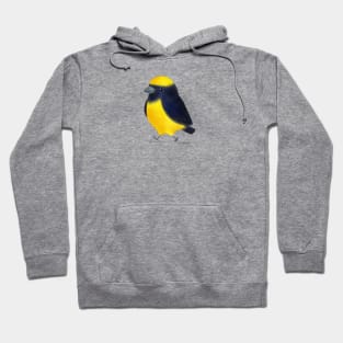 Yellow Crowned Euphonia Bird Hoodie